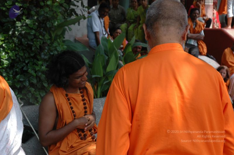 File:DSC 0244 CMP WM.jpg