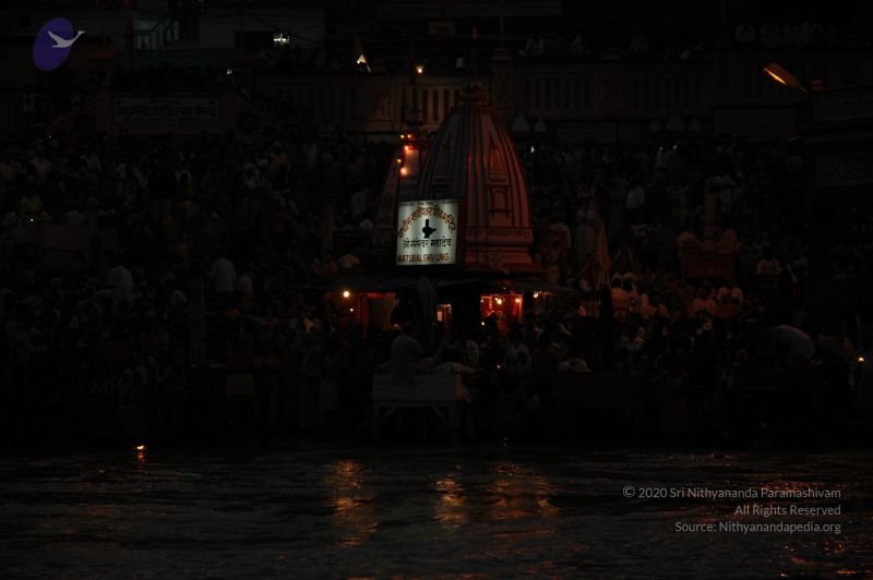 File:DSC 0257 CMP WM.jpg