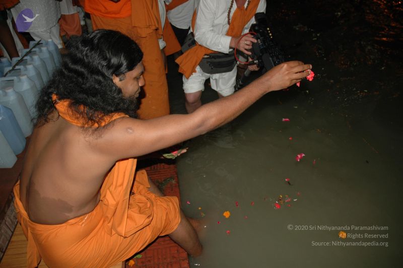 File:DSC 0300 CMP WM.jpg