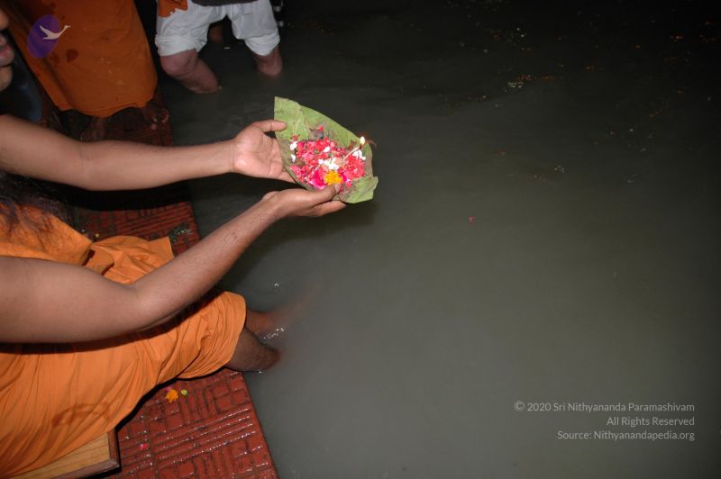 File:DSC 0306 CMP WM.jpg