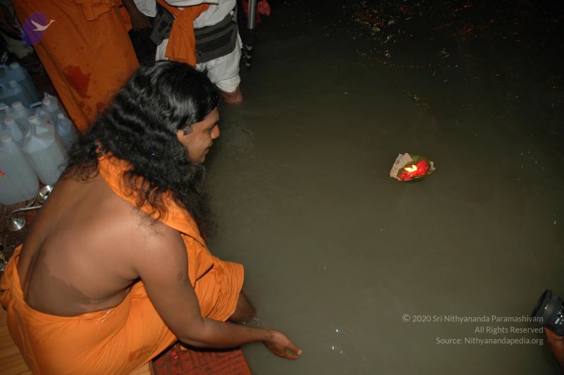 File:DSC 0308 CMP WM.jpg