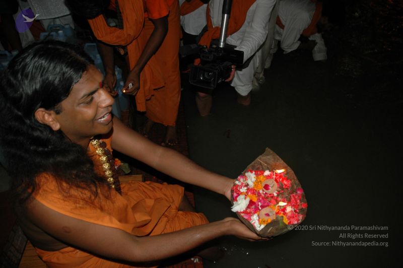 File:DSC 0310 CMP WM.jpg