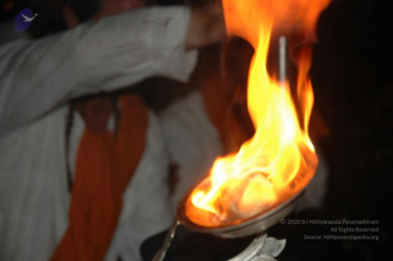 File:DSC 0327 CMP WM.jpg