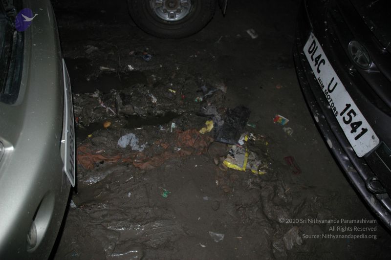 File:DSC 0351 CMP WM.jpg