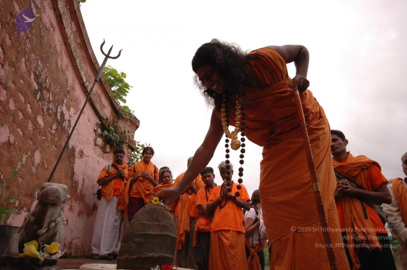 File:DSC 0484 CMP WM.jpg