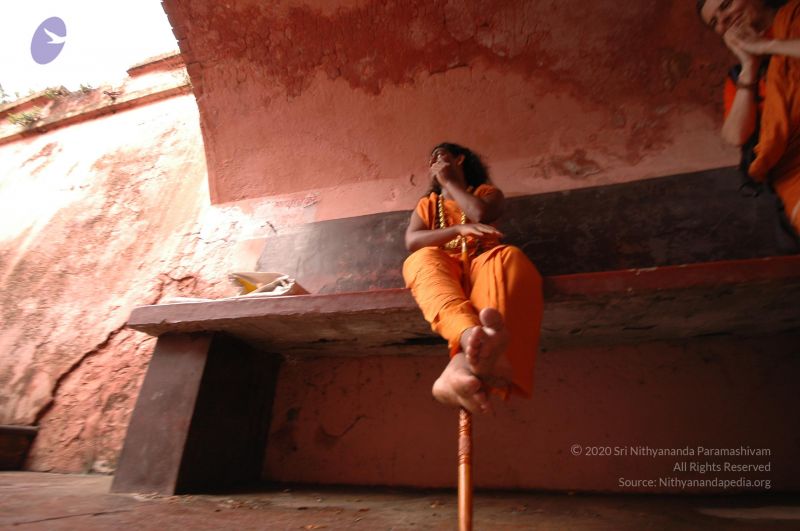 File:DSC 0495 CMP WM.jpg