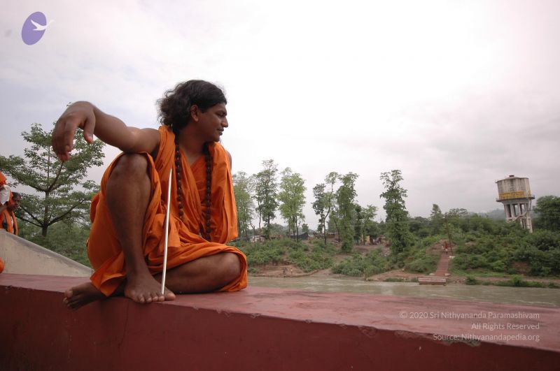 File:DSC 0559 CMP WM.jpg