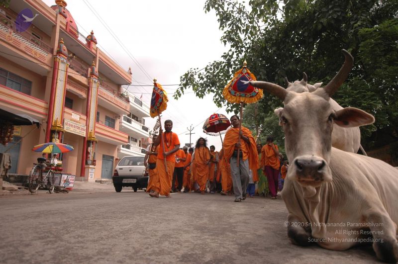 File:DSC 0629 CMP WM.jpg