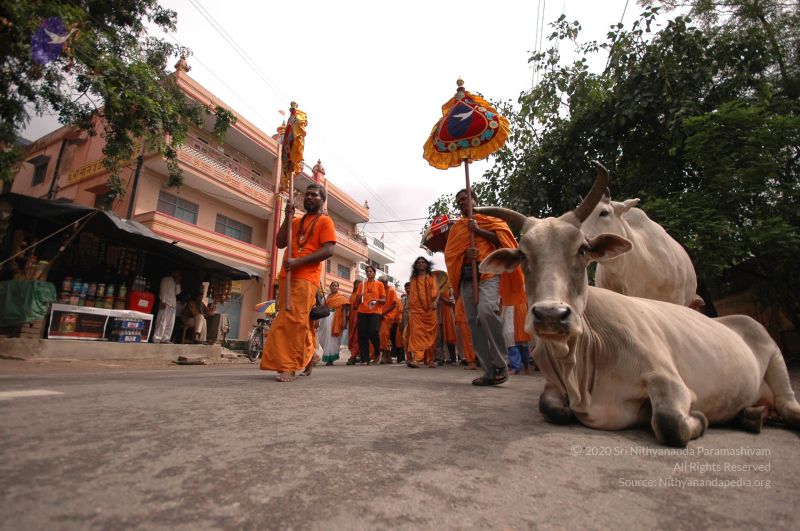 File:DSC 0632 CMP WM.jpg