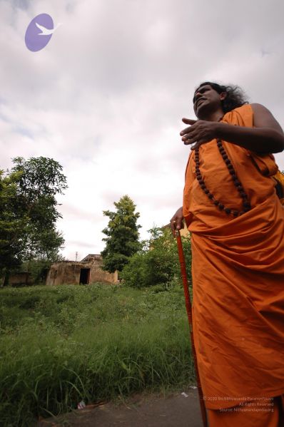 File:DSC 0675 CMP WM.jpg