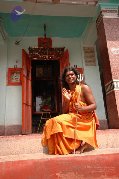 File:DSC 0698 CMP WM.jpg