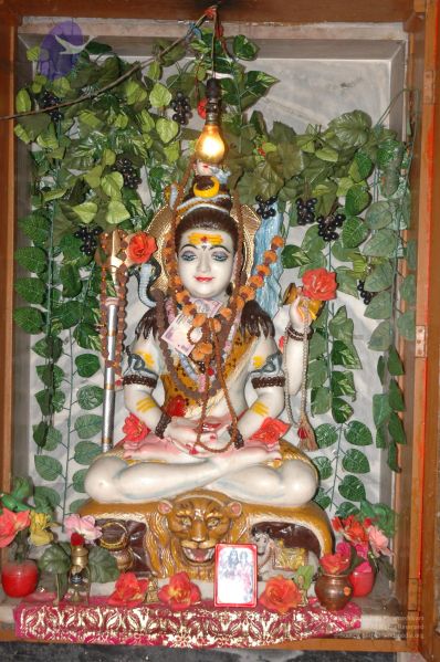 File:DSC 0709 CMP WM.jpg