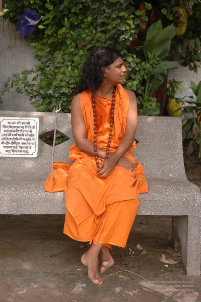 File:DSC 0712 CMP WM.jpg