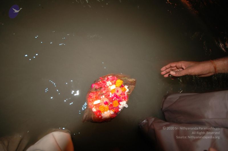 File:DSC 0808 CMP WM.jpg