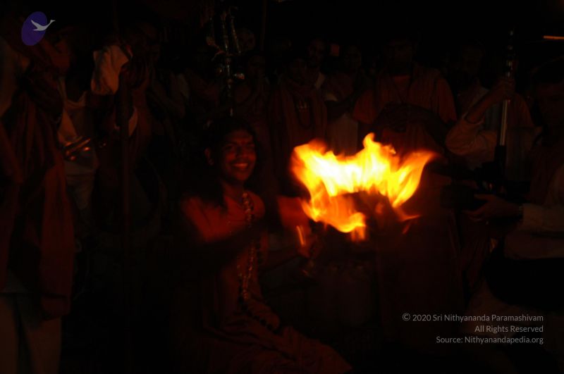 File:DSC 0826 CMP WM.jpg