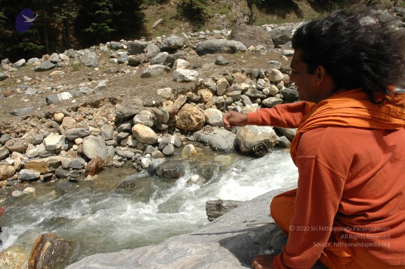 File:DSC 8367 CMP WM.jpg