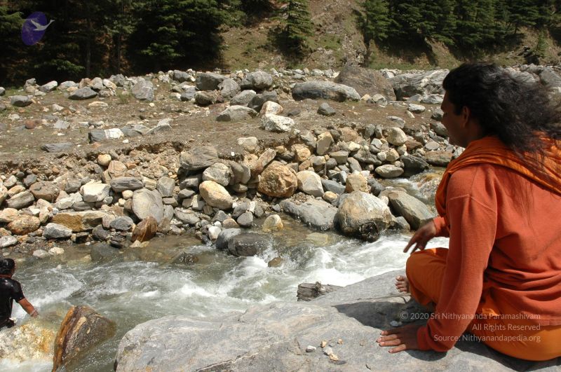 File:DSC 8368 CMP WM.jpg