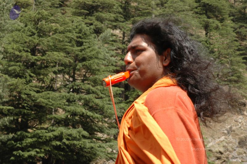 File:DSC 8434 CMP WM.jpg