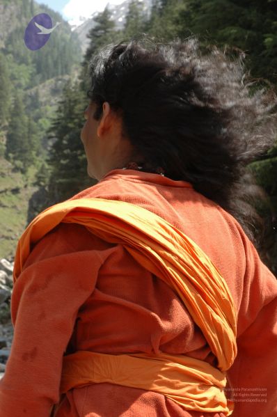 File:DSC 8479 CMP WM.jpg