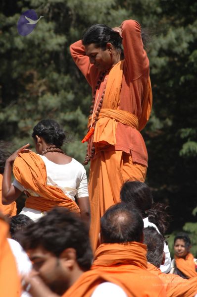 File:DSC 8562 CMP WM.jpg