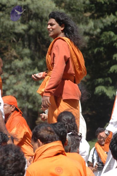 File:DSC 8569 CMP WM.jpg