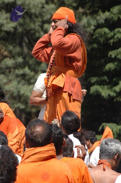 File:DSC 8572 CMP WM.jpg