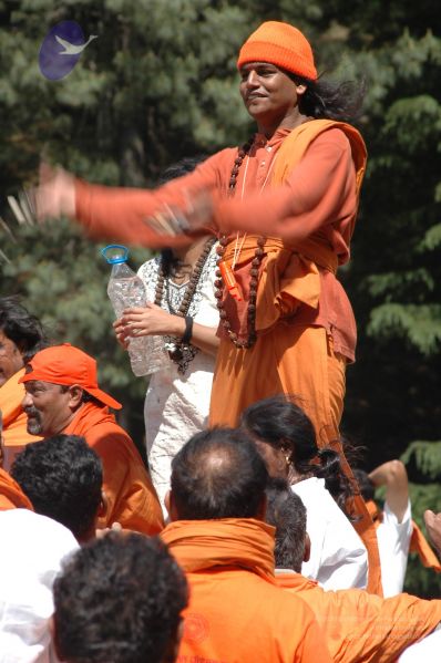 File:DSC 8574 CMP WM.jpg