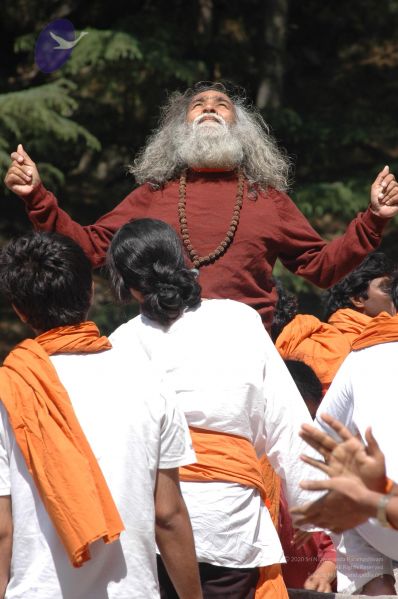 File:DSC 8575 CMP WM.jpg