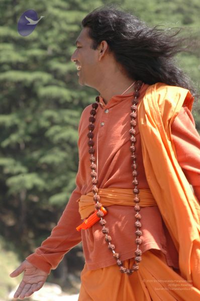 File:DSC 8611 CMP WM.jpg