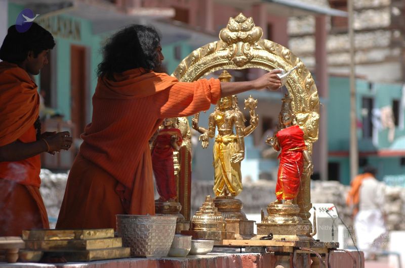 File:DSC 8873 CMP WM.jpg