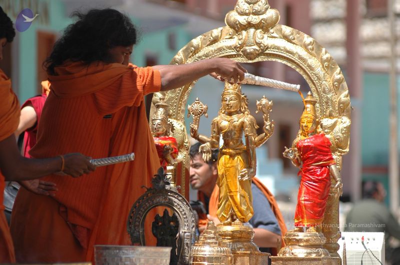 File:DSC 8884 CMP WM.jpg