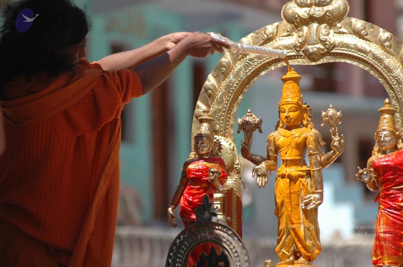 File:DSC 8886 CMP WM.jpg