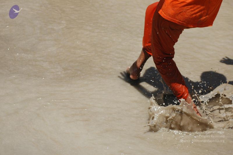 File:DSC 8962 CMP WM.jpg