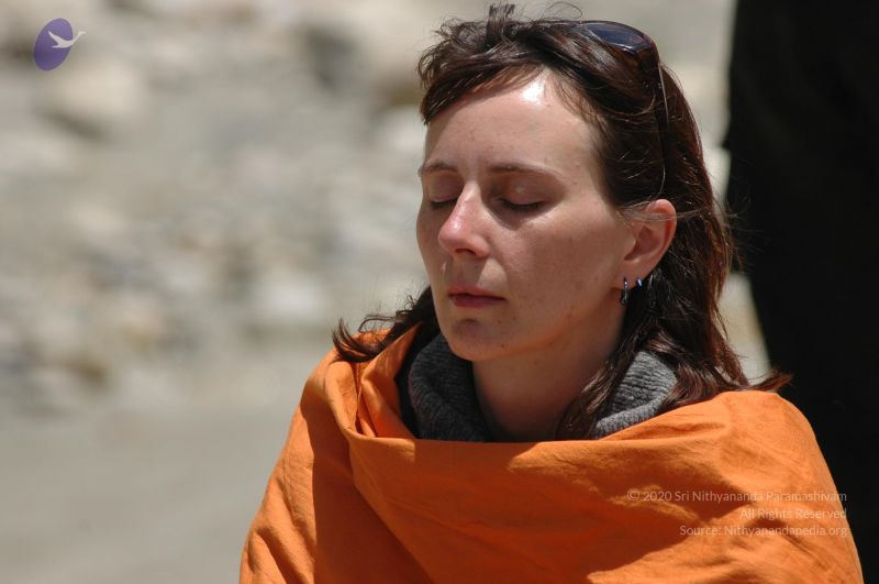 File:DSC 8994 CMP WM.jpg