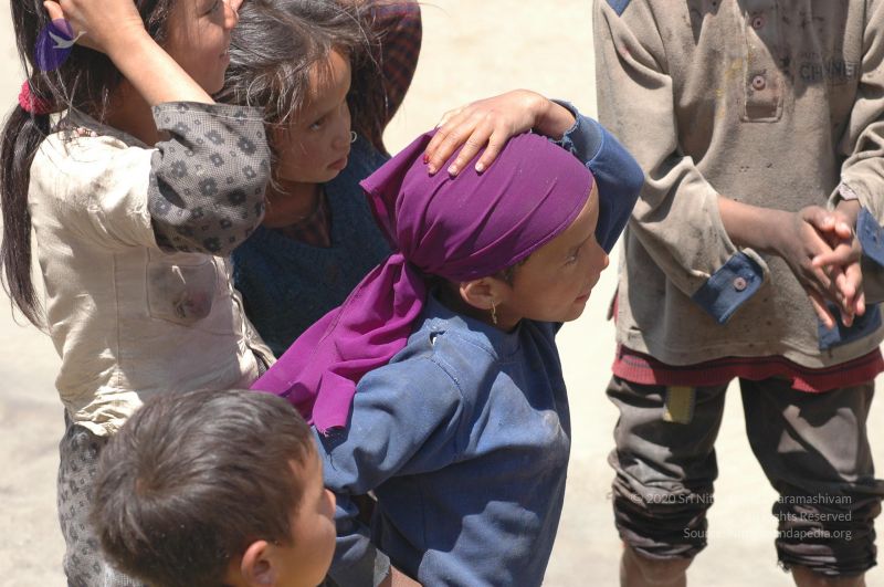 File:DSC 9004 CMP WM.jpg