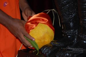 DeviPrathista15Nov2007 026 CMP WM.jpg