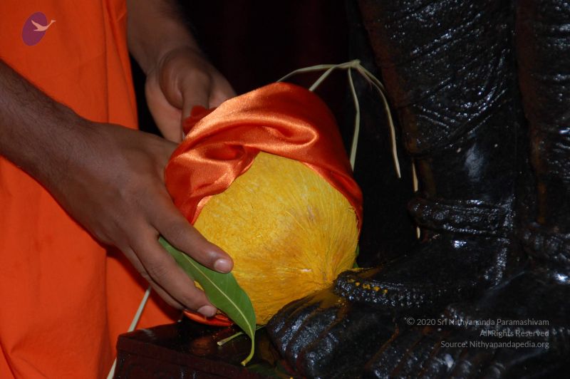 File:DeviPrathista15Nov2007 026 CMP WM.jpg