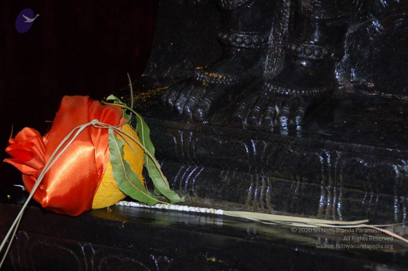 File:DeviPrathista15Nov2007 028 CMP WM.jpg