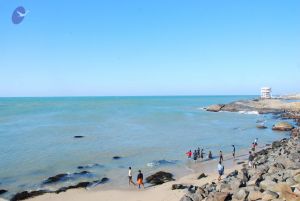 Dx46 (33) CMP WM.jpg