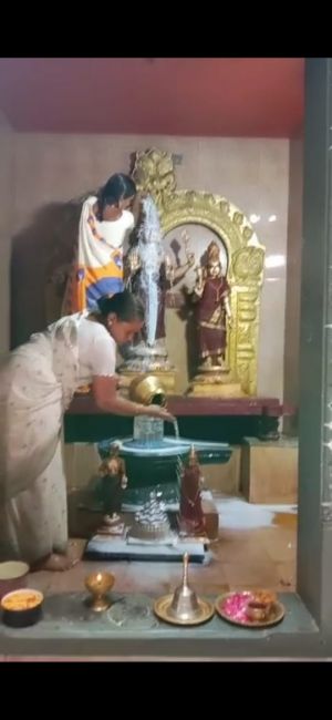 Ed2b9e89-11ae-4f69-a98f-9976a8677e71 (1).jpg