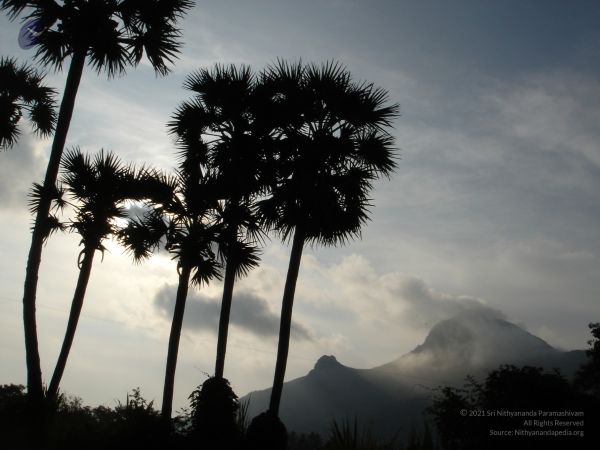 HILL Tiruvannamalai Arunachala 6Apr2007 (11)-11.jpg