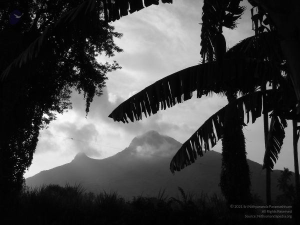 HILL Tiruvannamalai Arunachala 6Apr2007 (19)-19.jpg