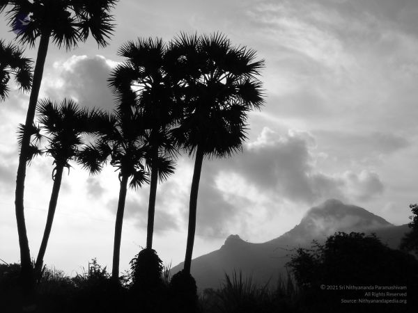HILL Tiruvannamalai Arunachala 6Apr2007 (21)-21.jpg