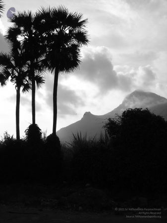 HILL Tiruvannamalai Arunachala 6Apr2007 (24)-23.jpg