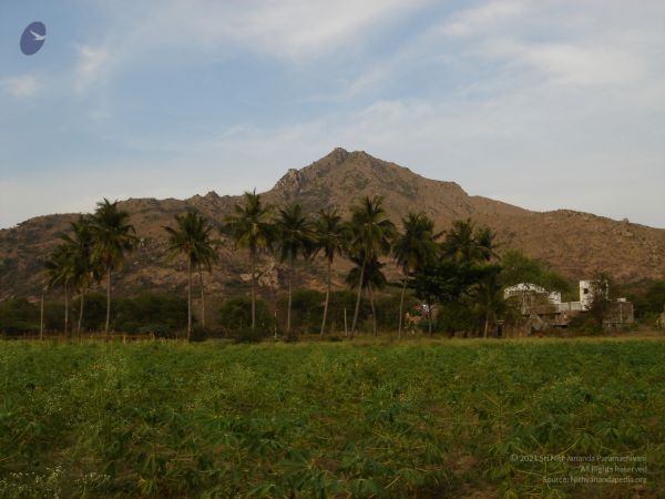 HILL Tiruvannamalai Arunachala 6Apr2007 (89)-79.jpg