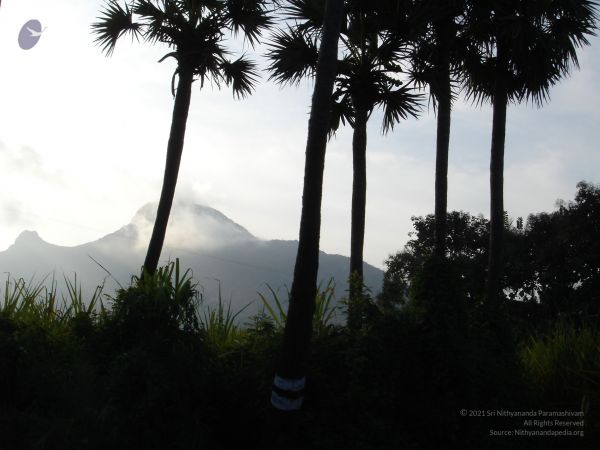 HILL Tiruvannamalai Arunachala 6Apr2007 (9)-09.jpg