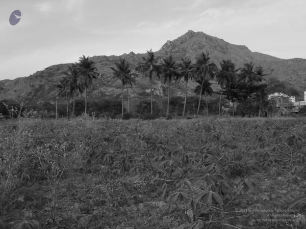 HILL Tiruvannamalai Arunachala 6Apr2007 (91)-81.jpg