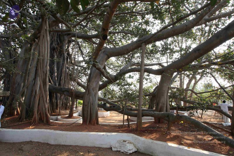 File:IMG 4910 CMP WM.jpg