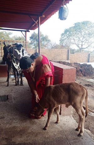 Image 2021-12-29 at 07.38.03.jpeg