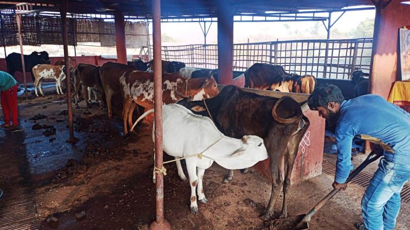 Image 2021-12-29 at 07.40.05.jpeg